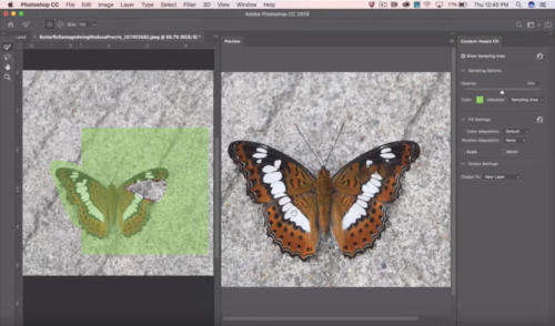 Adobe Photoshop CC 2019 Essential Training Video Course (Instant Download)
