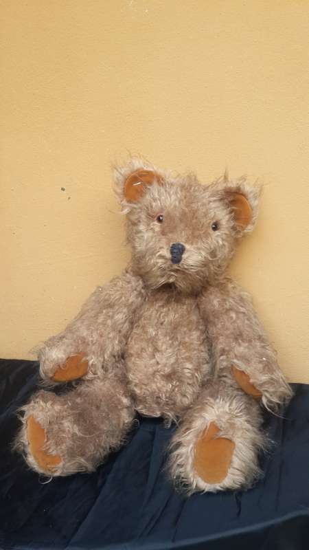 Lovely old Teddy