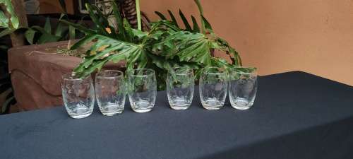 6 grape pattern juice glasses.