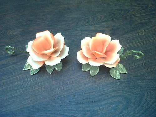 2 CAPIDEMONTE ROSES