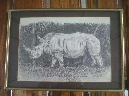 White Rhino Pencil Sketch by L J Robinson