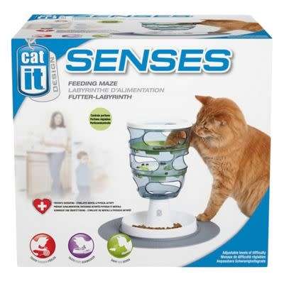 Cat It Senses Food Maze