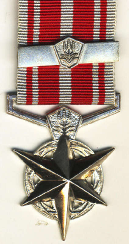 Full Size : SA Police Medal for combating terrorism with 2nd Bar (W 82744H 84-12-25 Konst. MC Beetar