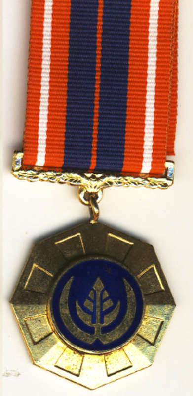 Full Size : Pro Patria Medal (1974) : Number 11949 : Linked Suspender