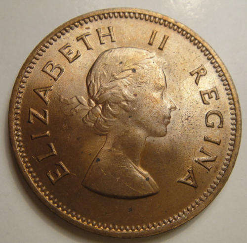 1955 Half Penny : Union of South Africa (MINT STATE)