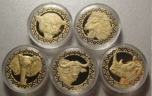 Big Five Medal Set in Acrylic Capsules