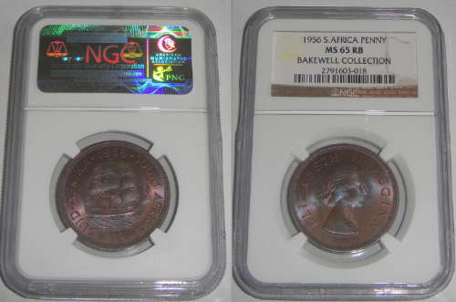 Union of South Africa : Penny of 1956 : NGC graded MS 65 RB