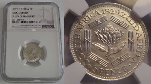Union of South Africa: Sixpence (6d) of 1929 : NGC graded UNC details