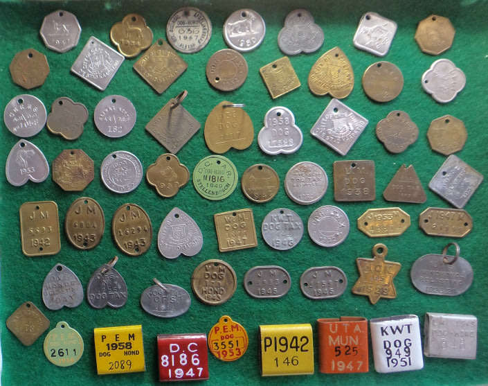 Large Collection of old South African Dog Licenses from 1908 to the 1950s