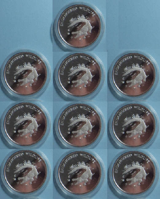 Malawi Endangered Wildlife (Crocodile). Ten Kwacha of 2005 (10 Crown-size  Proof Coins)