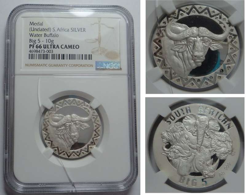 S. Africa Silver Buffalo Big 5 (10g) NGC PF 66 UC