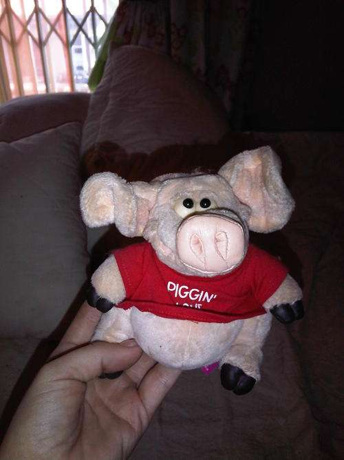 Piggin bear