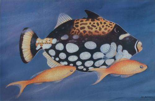 Lisa Halstead print