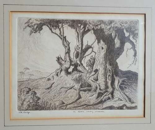 WH COETZER - original etch 1937