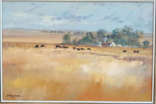 Original framed oil painting by JOHANN VAN RENSBURG