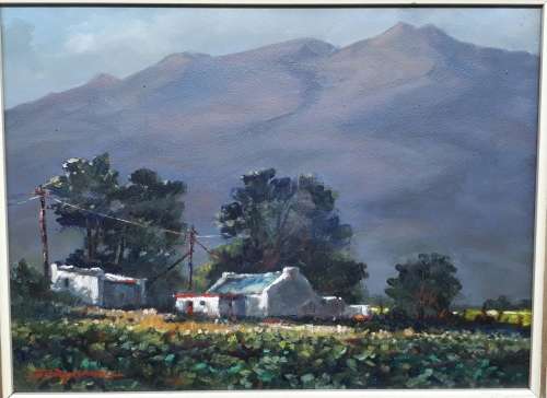 Original oil painting by JOHANN VAN RENSBURG