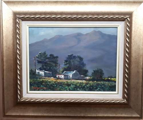 Original oil painting by JOHANN VAN RENSBURG