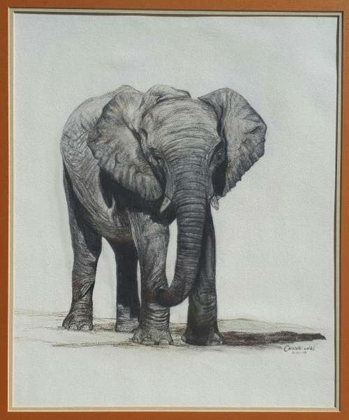 Original sketch by CHRISTELLE VAN DER WESTHUIZEN