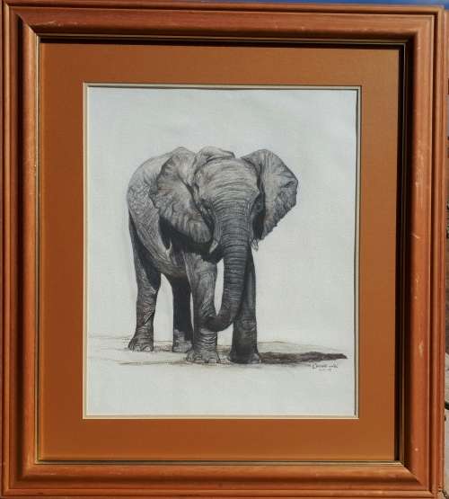 Original sketch by CHRISTELLE VAN DER WESTHUIZEN