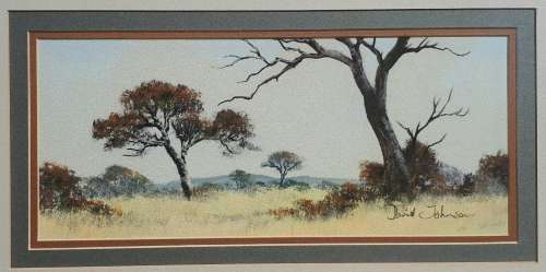 Original pastel painting by DAVID JOHNSON