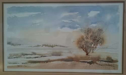 Original watercolour painting by JOHAN LE ROUX