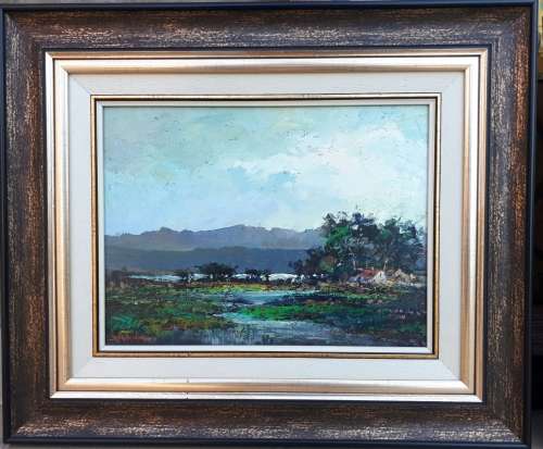 Original oil painting by JOHANN VAN RENSBURG