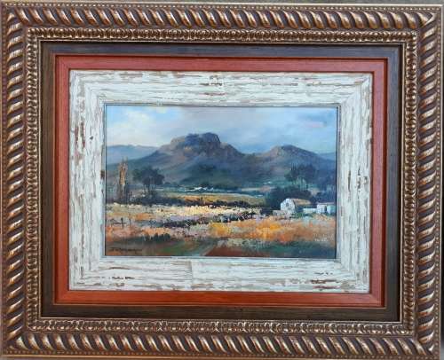 Original oil painting by JOHANN VAN RENSBURG