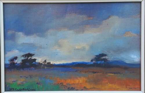Original oil painting by JOHANN VAN RENSBURG