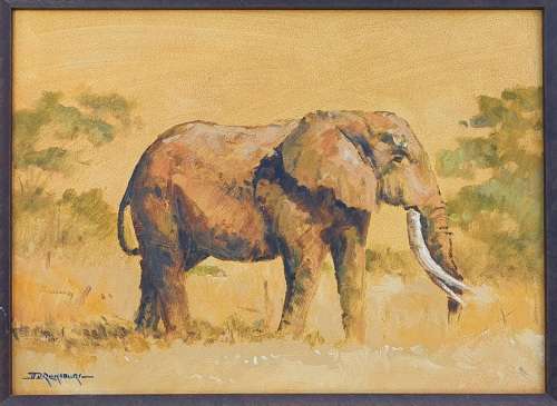 Original oil painting by JOHANN VAN RENSBURG