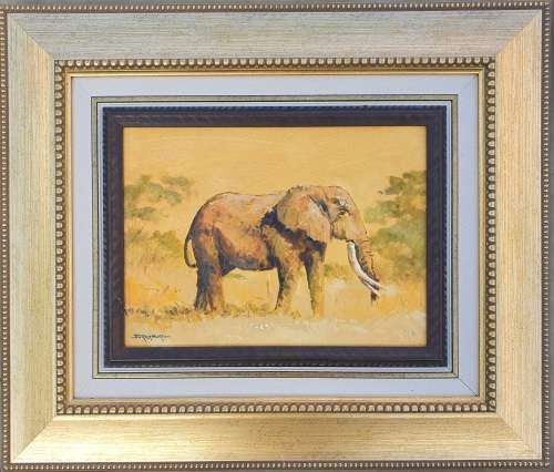 Original oil painting by JOHANN VAN RENSBURG