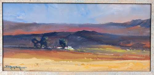 Original oil painting by JOHANN VAN RENSBURG