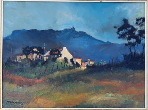 Original oil painting by JOHANN VAN RENSBURG