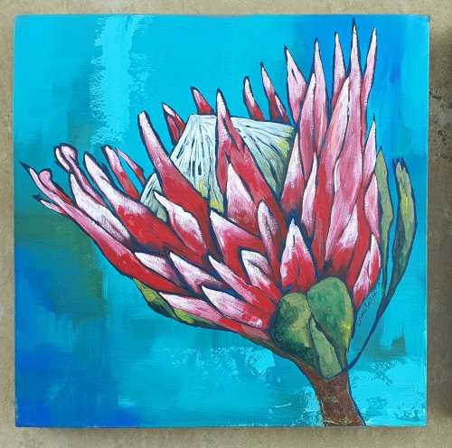 2x Original oil paintings of a King Protea by LIZAME COETZEE