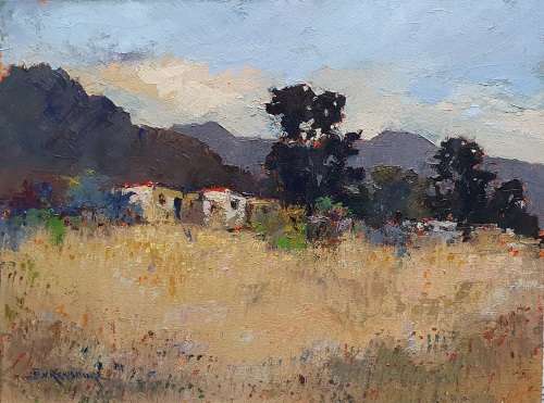 Original oil painting by JOHANN VAN RENSBURG