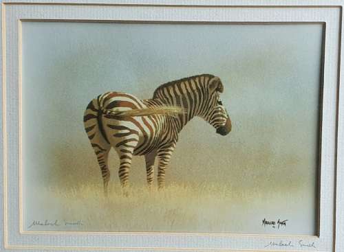 Framed - MALACHI SMITH - signed print of a Zebra
