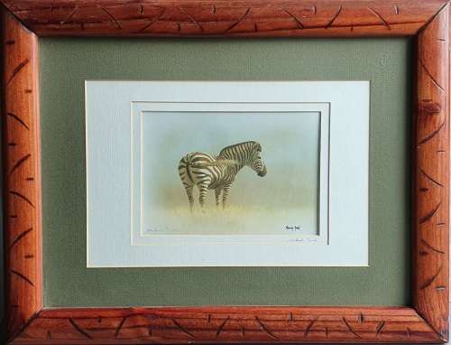 Framed - MALACHI SMITH - signed print of a Zebra