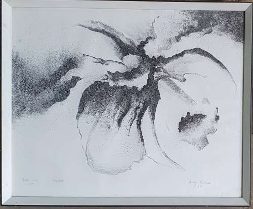 Original lito e/a by ANINE BARNARD 1/10 - 1979