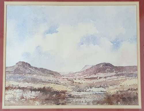 Original framed watercolour painting by KOBUS KOTZE