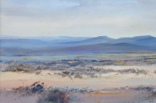 Original oil painting by JOHANN VAN RENSBURG