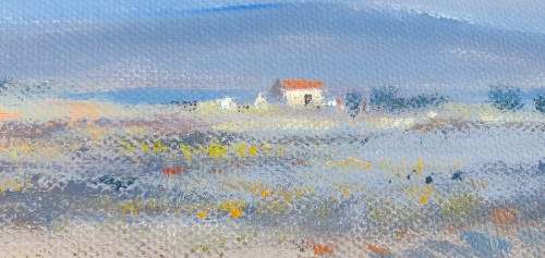 Original oil painting by JOHANN VAN RENSBURG