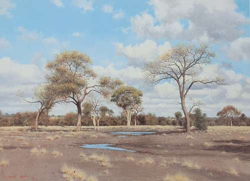 Limited addition print 47/2000 - MARTIN KOCH - Watergat Shingwidzi