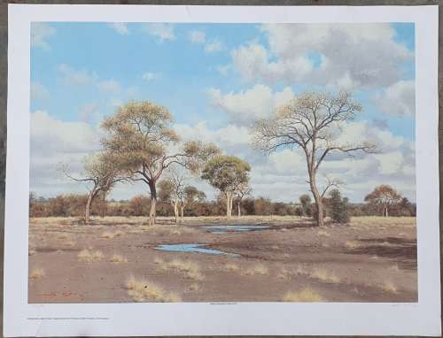 Limited addition print 47/2000 - MARTIN KOCH - Watergat Shingwidzi