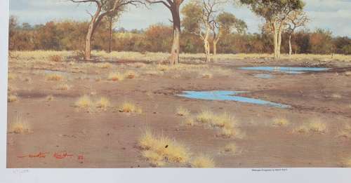 Limited addition print 47/2000 - MARTIN KOCH - Watergat Shingwidzi