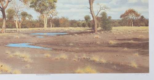 Limited addition print 47/2000 - MARTIN KOCH - Watergat Shingwidzi
