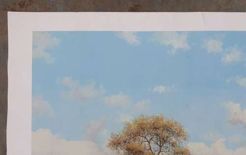 Limited addition print 47/2000 - MARTIN KOCH - Watergat Shingwidzi