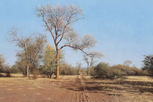 Limited addition print 129/200 - MARTIN KOCH