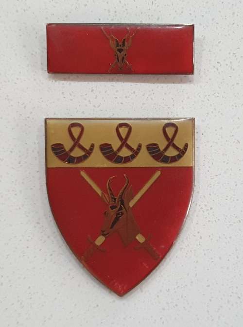 SADF shoulder badges (no pins) as per photo.
