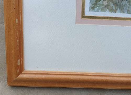Original framed watercolor  painting by CARINE CARTER as per photos
