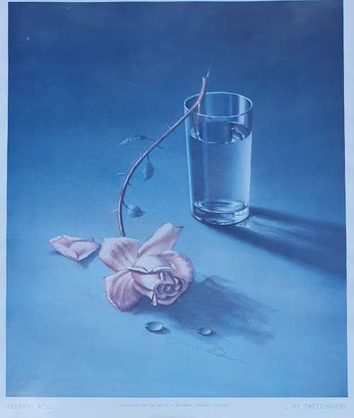 Framed print - Weeping Rose - TRETCHIKOFF