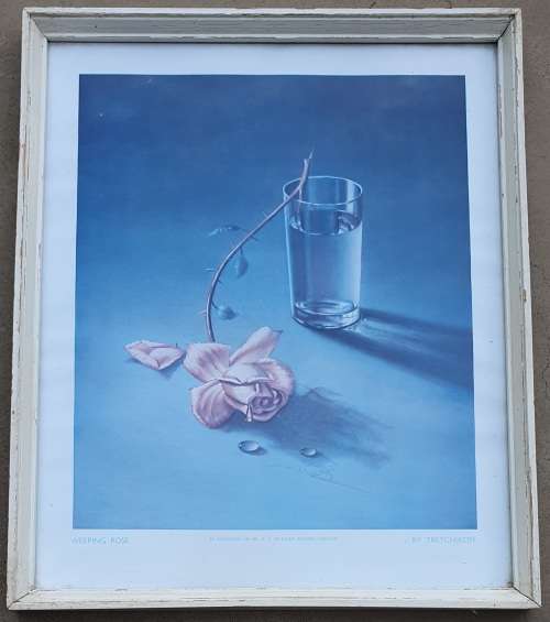 Framed print - Weeping Rose - TRETCHIKOFF